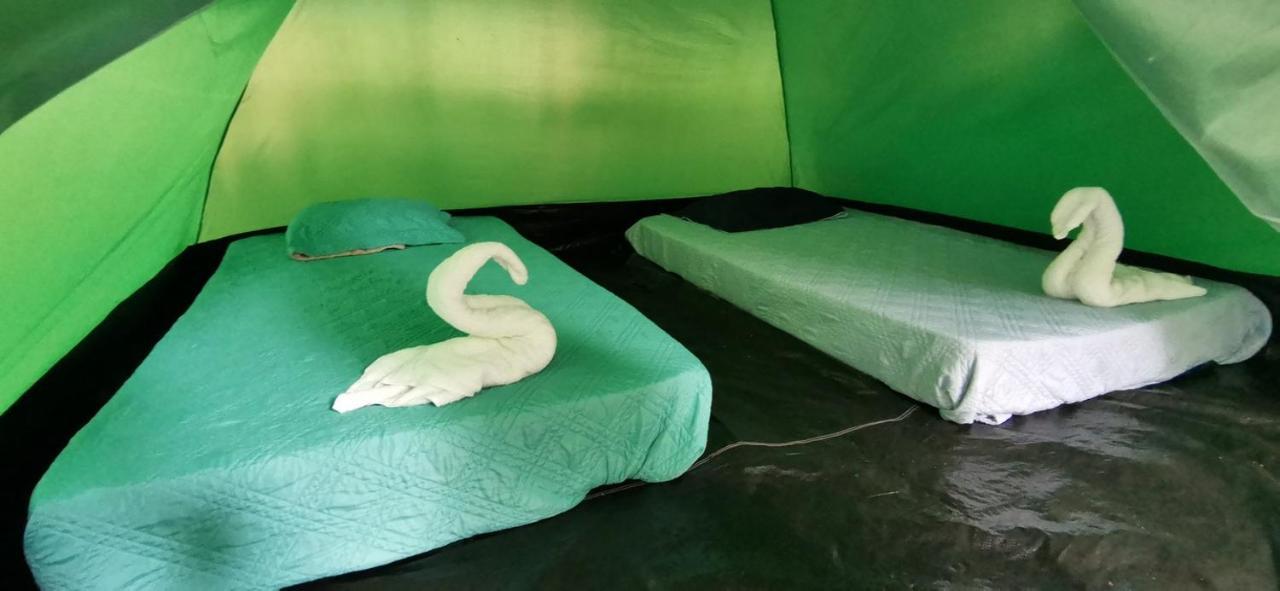 Corcovado Adventures Hostel Drakes Bay Buitenkant foto