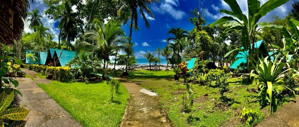 Corcovado Adventures Hostel Drakes Bay Buitenkant foto