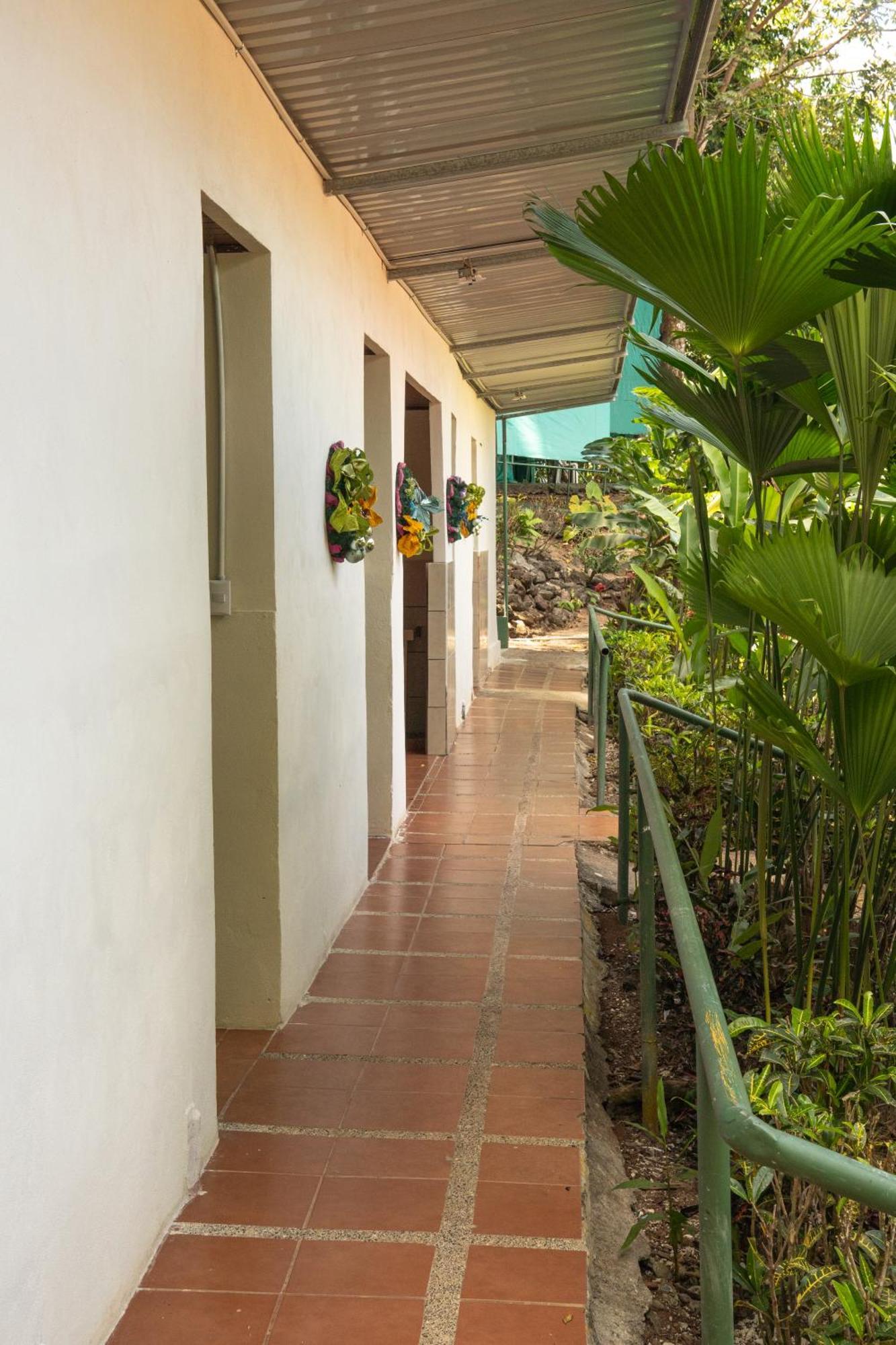 Corcovado Adventures Hostel Drakes Bay Buitenkant foto