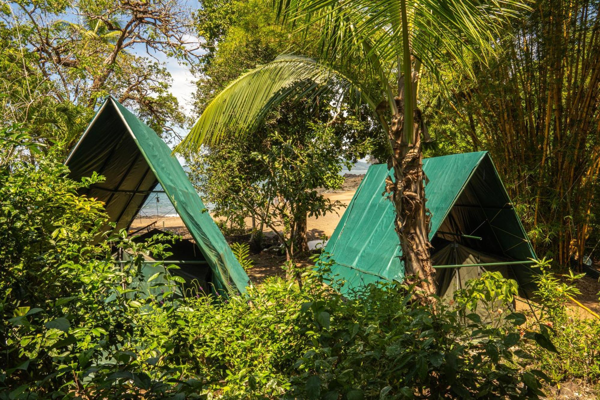 Corcovado Adventures Hostel Drakes Bay Buitenkant foto