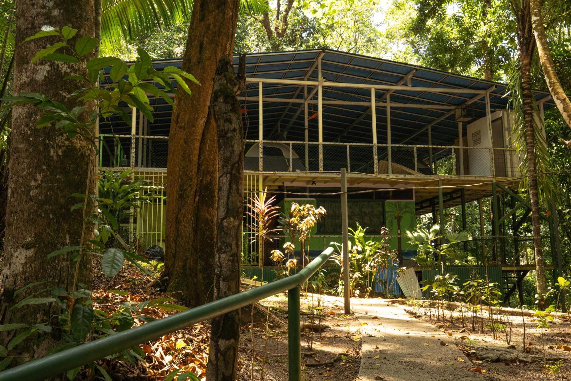 Corcovado Adventures Hostel Drakes Bay Buitenkant foto