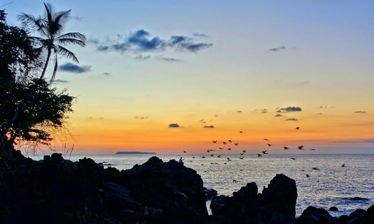 Corcovado Adventures Hostel Drakes Bay Buitenkant foto