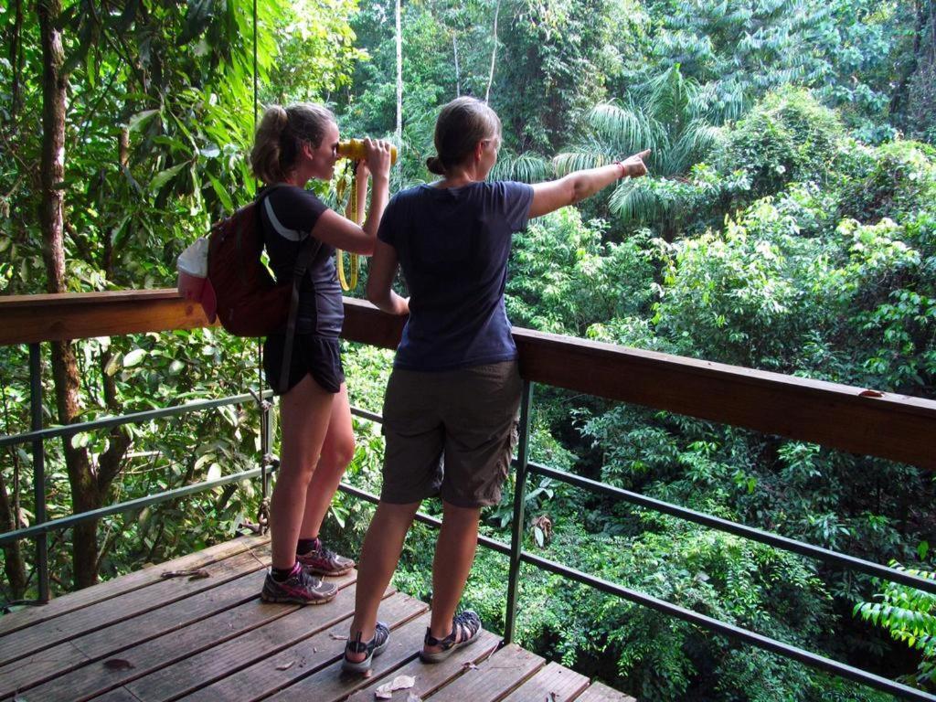 Corcovado Adventures Hostel Drakes Bay Buitenkant foto